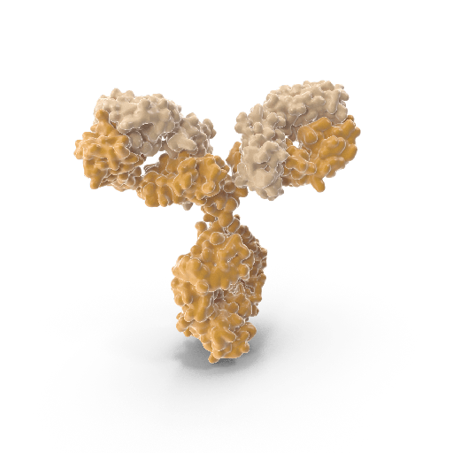 [0544-MBS692246-0.025mg] antisize:VEGFRsize:2/KDR size:FITC antibody :: Mouse antisize:Human VEGFRsize:2/KDR Monoclonal Antibody 0.025mg